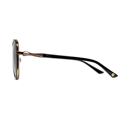 All Ball World BV4461 C1 Silver Sparkle: The "Armor-Plated" Frame