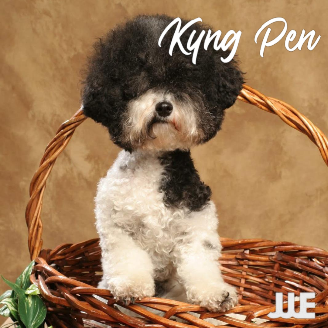 Kyng Pen 5